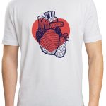 Corazón anatómico