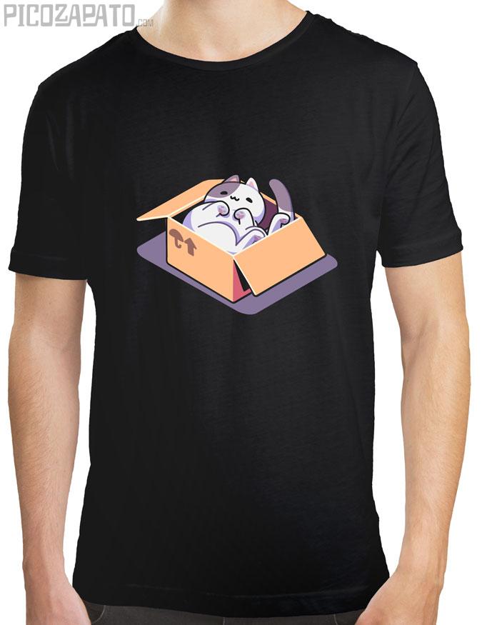 Gatito en su caja