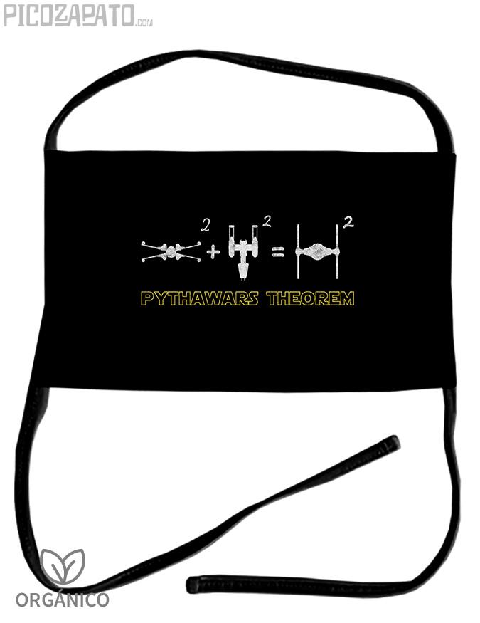 Mascarilla Pythawars theorem